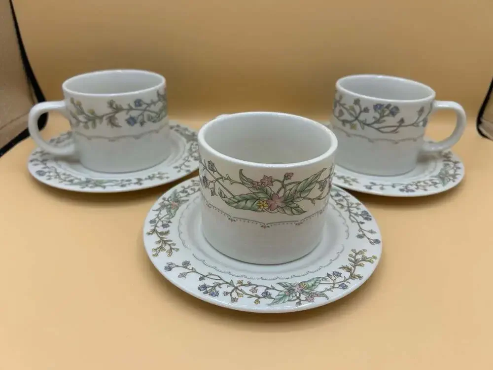 Farberware Fine China Wellesley 486 Teacup and Saucer Set